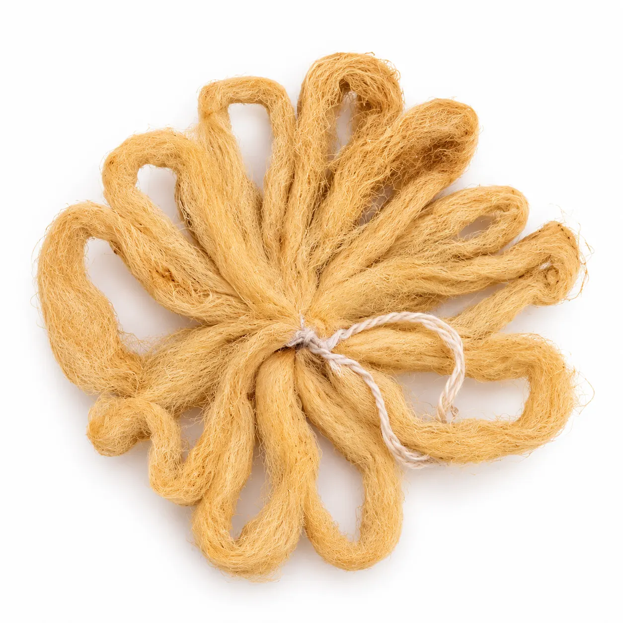 Natural Lotus Stem Wick for Pooja, Diya & Aarti | Natural Pooja Wick